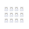 Zehn SOHO Lucca Mini Hair Claws – Transparent von SOHO sind in vier Reihen auf einem schlichten weißen Hintergrund angeordnet und ähneln Zahnspangen mit weißen Brackets und Metallbügeln oder ordentlich angeordneten transparenten Haarspangen.
